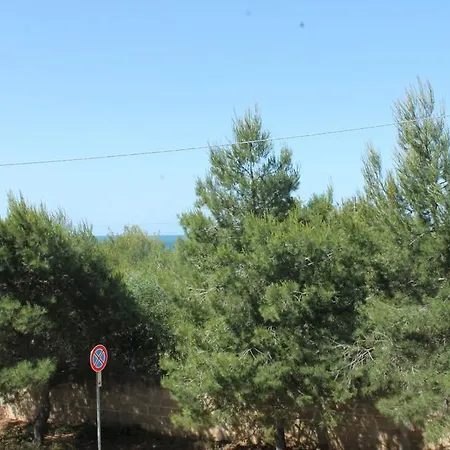 Lido